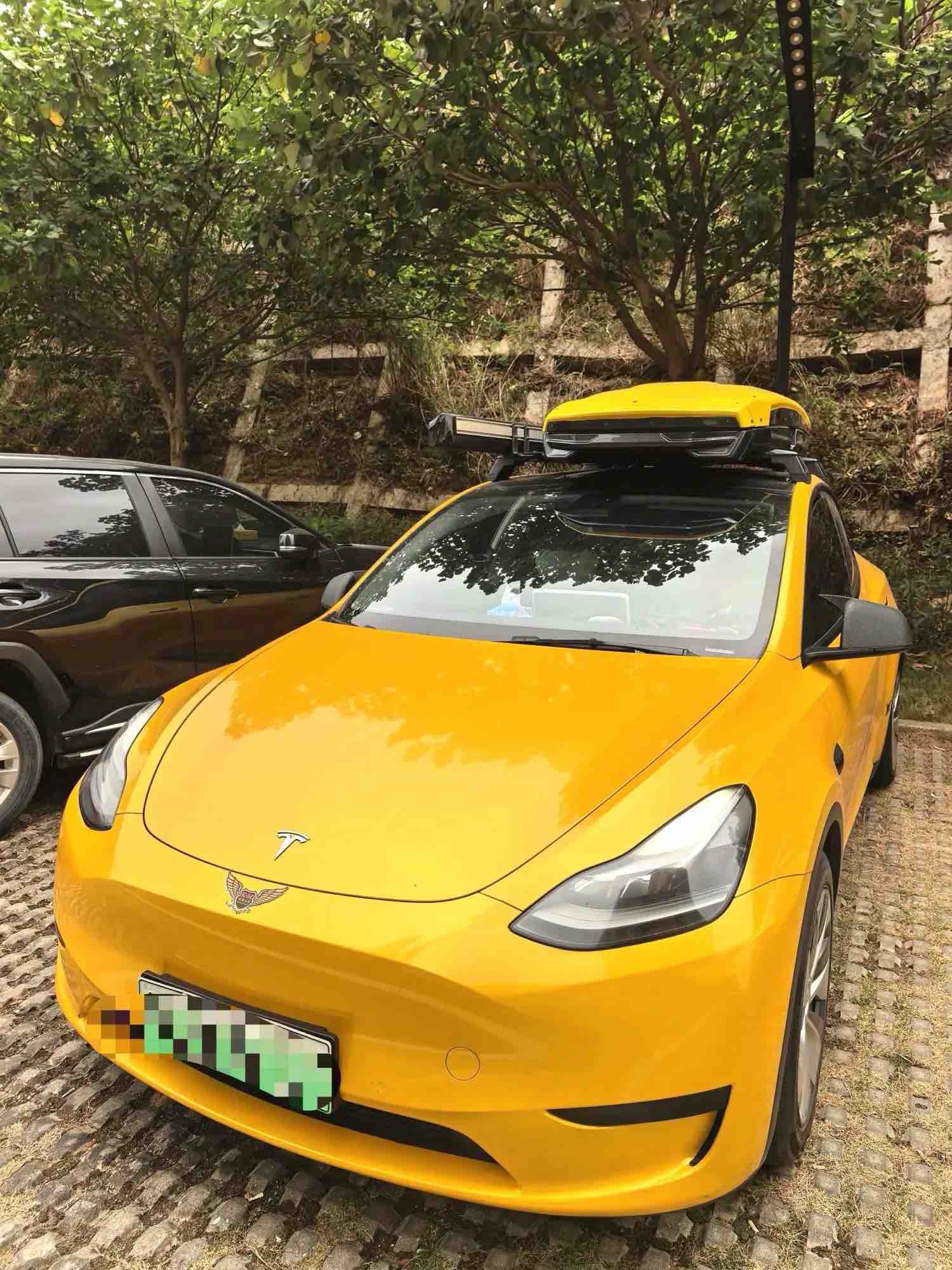Tesla Model Y 2022 car image 