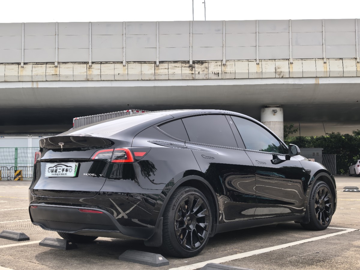 Tesla Model Y 2021 car image #11