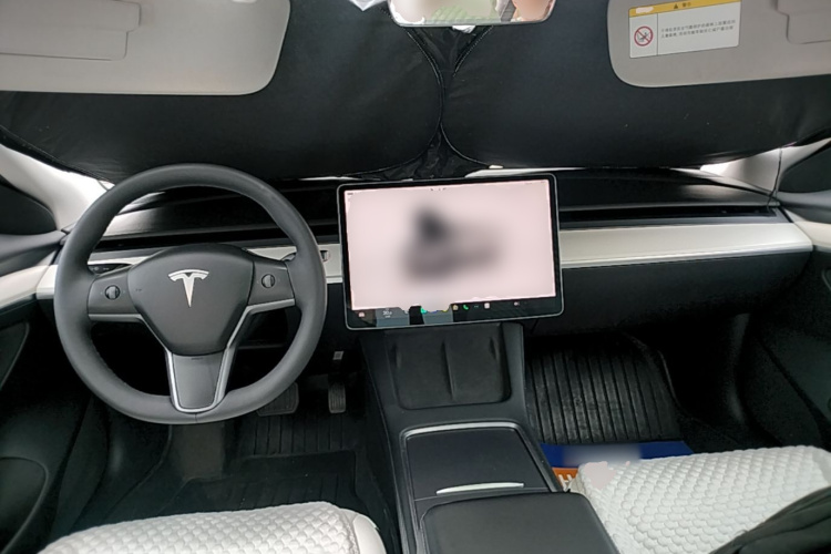 Tesla Model 3 2022 car image #10