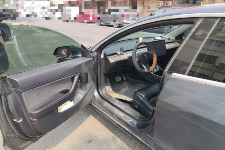 Tesla Model 3 2020 car image #18