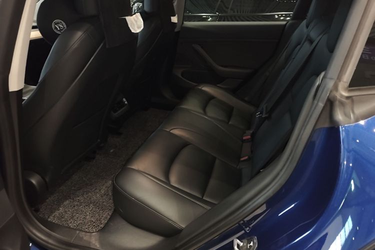 Tesla Model 3 2020 car image #13