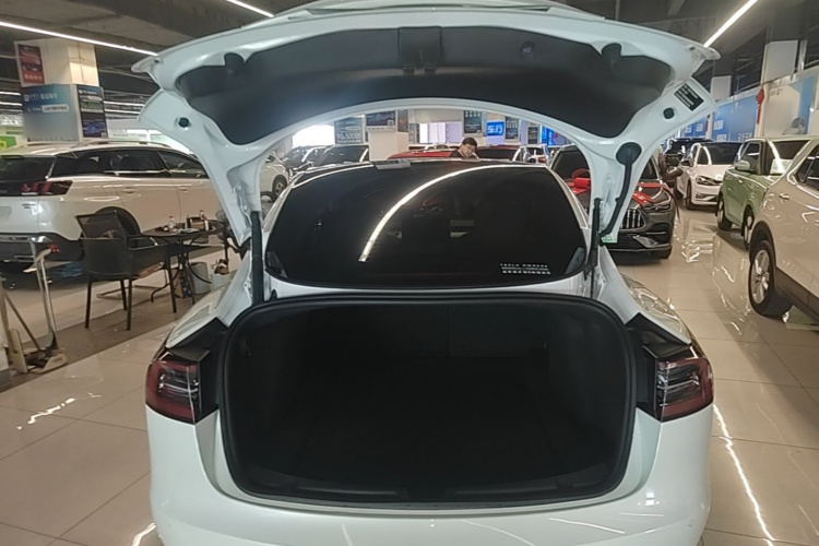 Tesla Model 3 2023 #21 Tesla Model 3 2023 car image #21