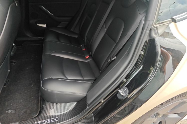 Tesla Model 3 2022 car image #19