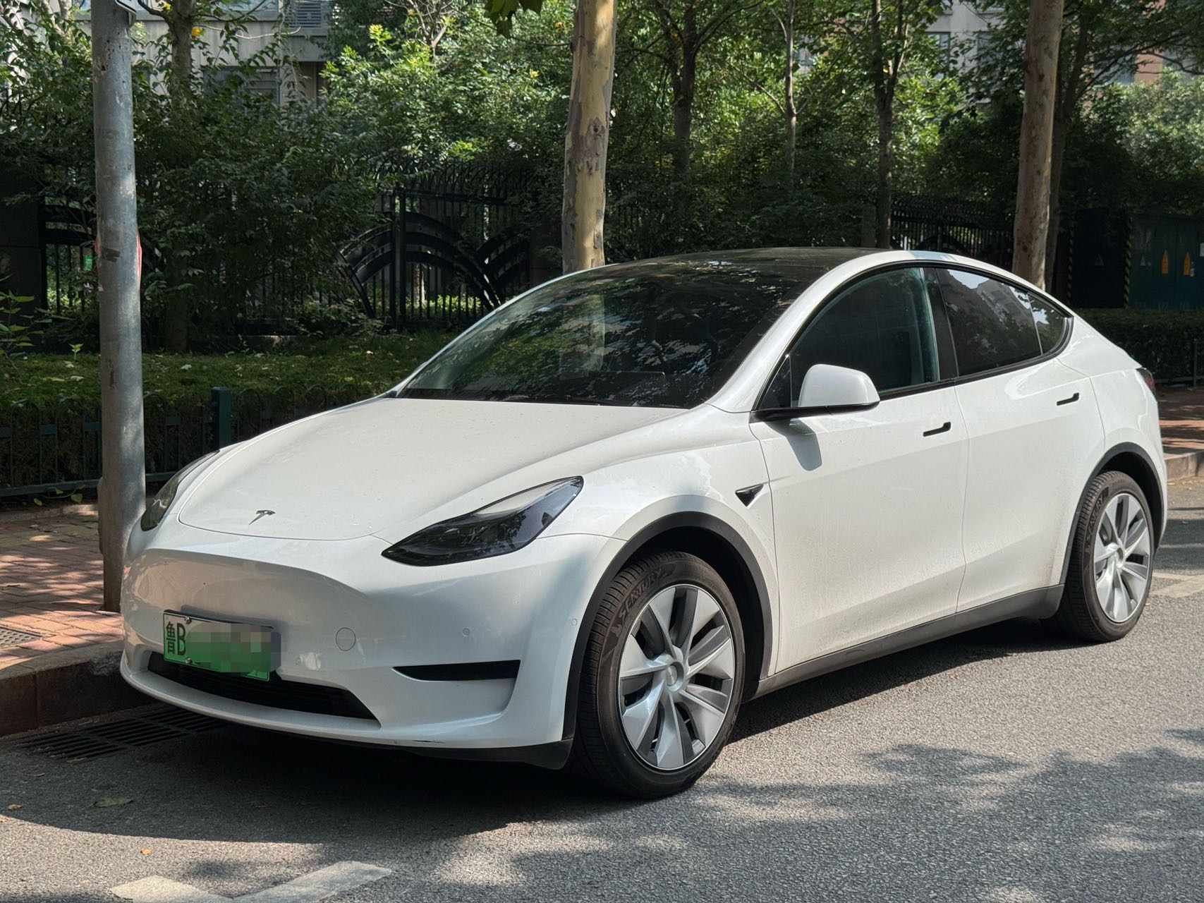 Tesla Model Y 2022 car image 