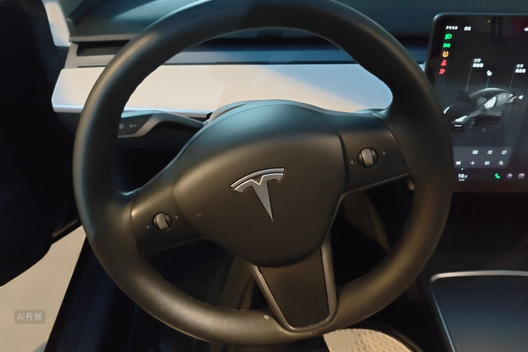 Tesla Model 3 2022 car image #12