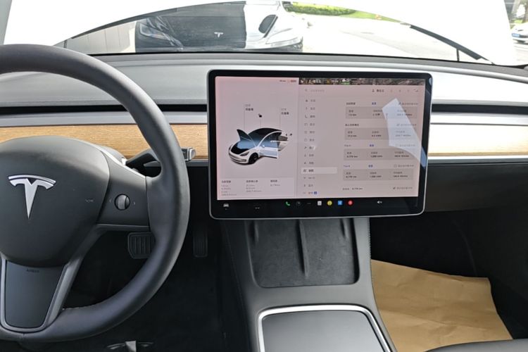 Tesla Model 3 2021 #13 Tesla Model 3 2021 car image #13