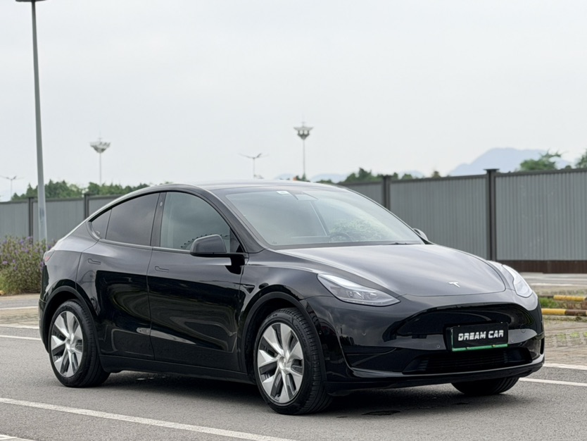 Tesla Model Y 2022 car image #3