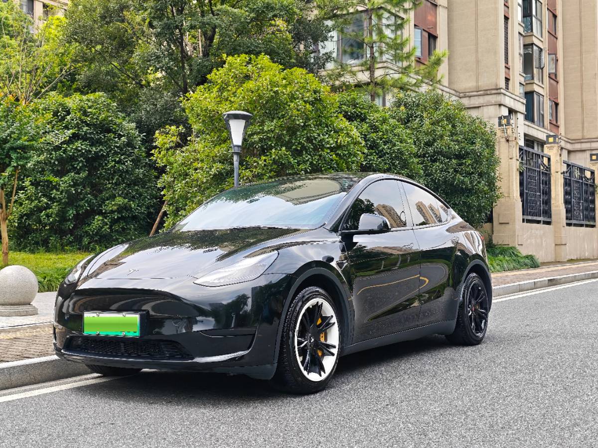Tesla Model Y 2022 Tesla Model Y 2022 car image