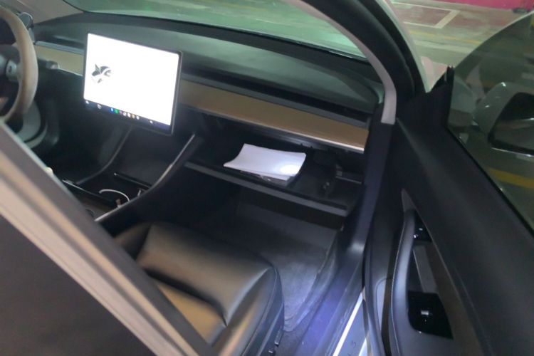 Tesla Model 3 2020 imagem de carro #21