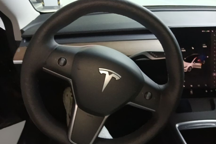 Tesla Model 3 2022 #11 Tesla Model 3 2022 car image #11