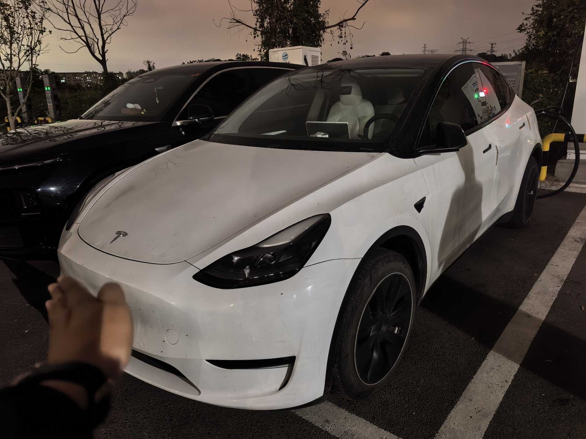 Tesla Model Y 2023 Tesla Model Y 2023 car image