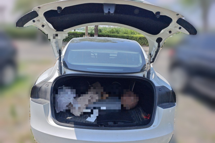 Tesla Model 3 2023 #21 Tesla Model 3 2023 car image #21