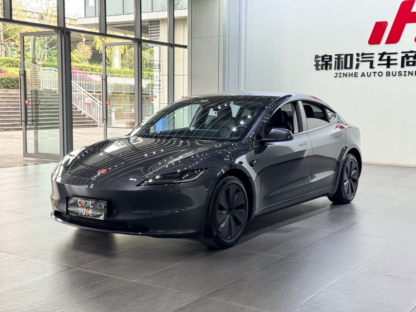 Tesla Model 3 2024 car image 