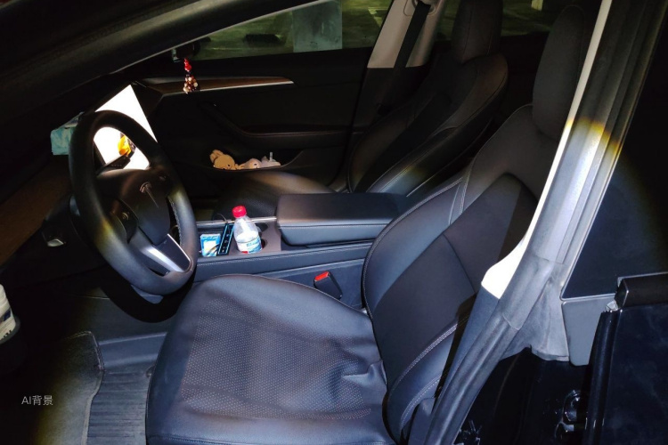 Tesla Model 3 2022 #17 Tesla Model 3 2022 car image #17