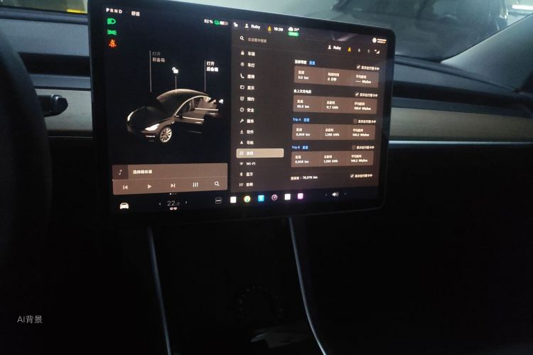 Tesla Model 3 2020 #15 Tesla Model 3 2020 car image #15