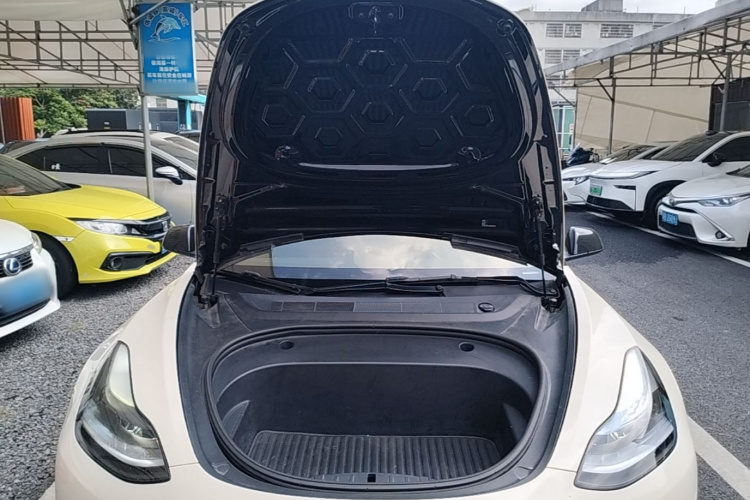 Tesla Model 3 2021 #20 Tesla Model 3 2021 car image #20