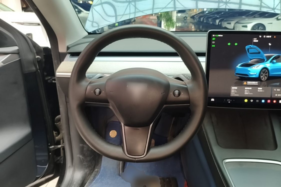 Tesla Model Y 2024 car image #16