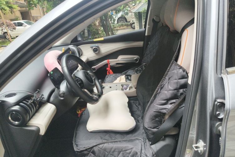 BYD Yuan Plus 2023 car image #19