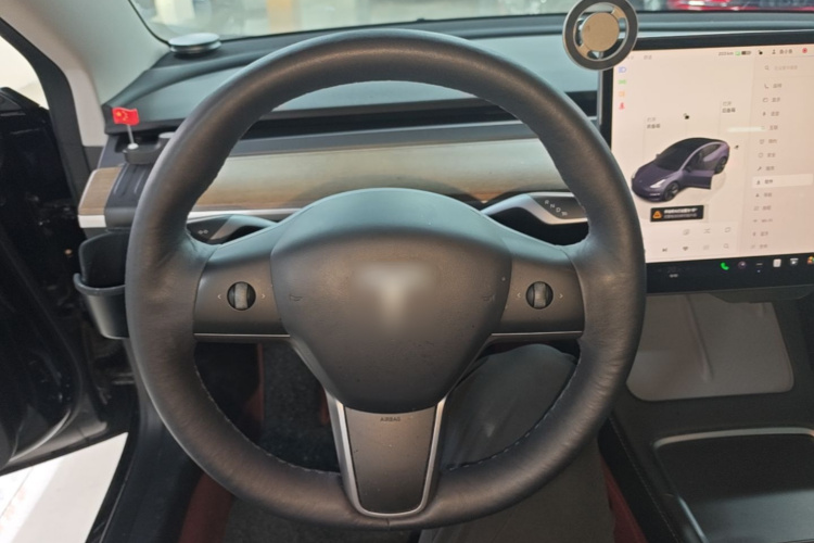 Tesla Model 3 2022 immagine di auto #11