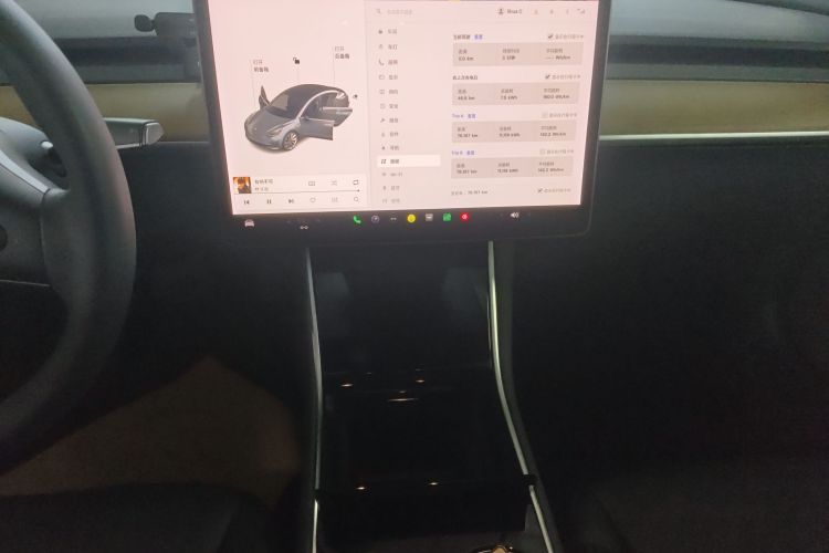 Tesla Model 3 2020 car image #13