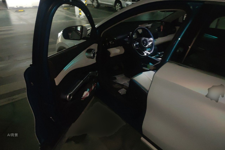 BYD Yuan Plus 2022 car image #18