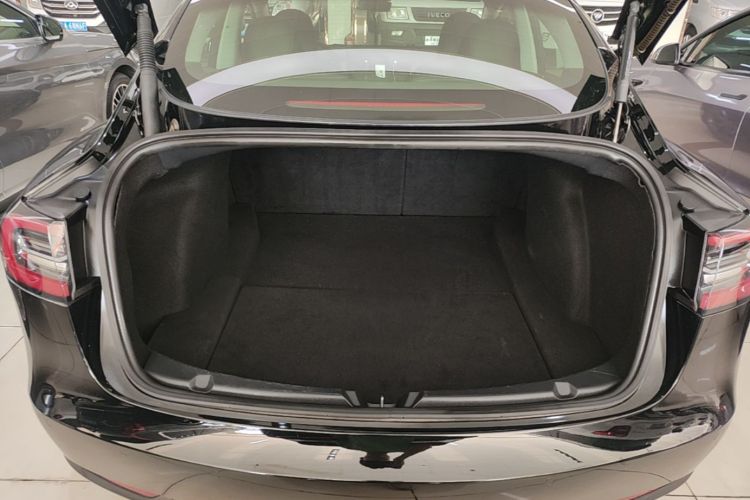 Tesla Model 3 2021 #19 Tesla Model 3 2021 car image #19