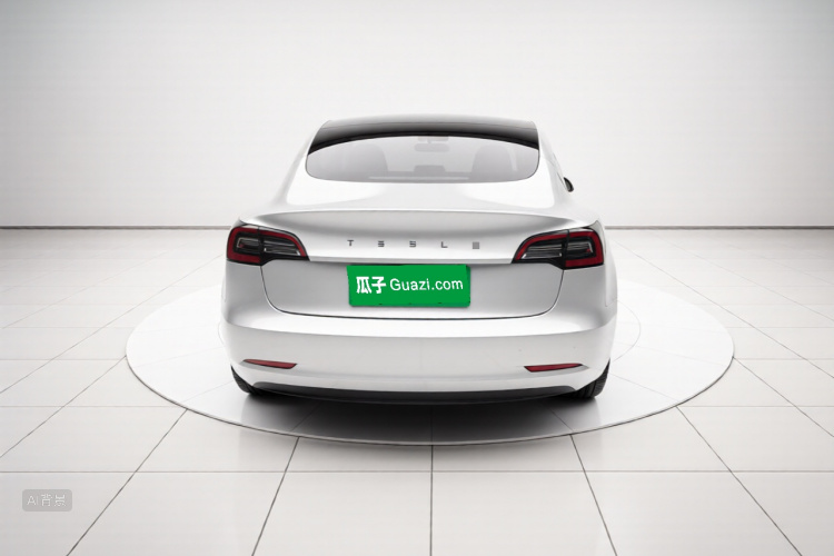 Tesla Model 3 2023 car image #6