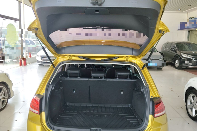 Volkswagen Golf 2018 car image #19