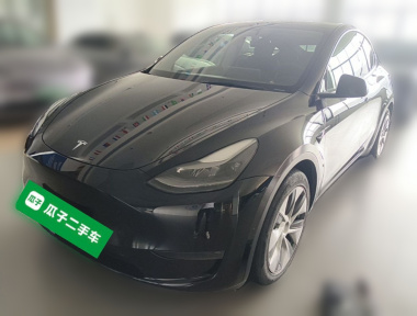 Tesla Model Y 2021 Tesla Model Y 2021 car image