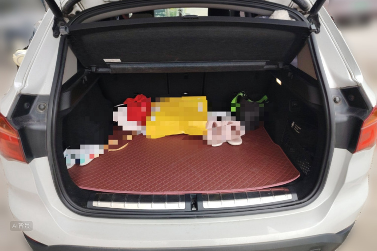 BMW X1 2017 car image #21