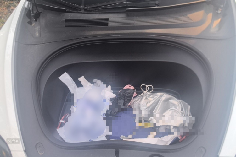 Tesla Model 3 2025 #22 Tesla Model 3 2025 immagine di auto #22