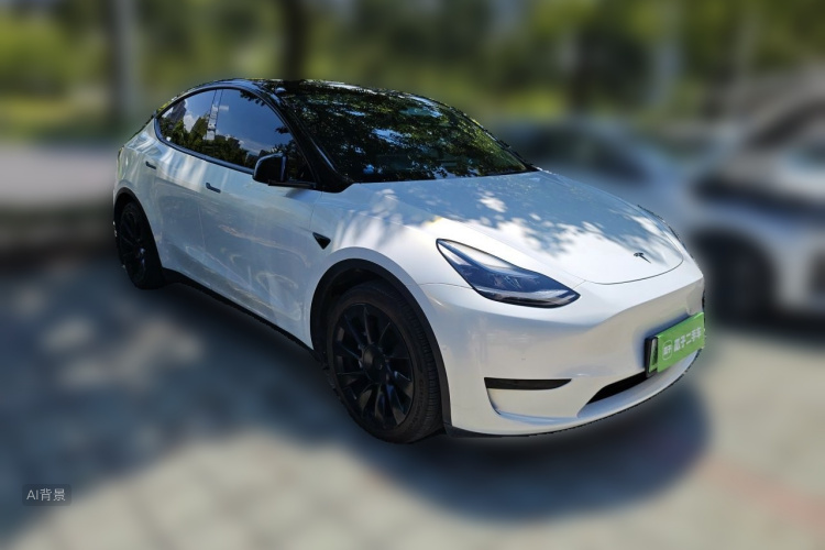 Tesla Model Y 2023 car image #4