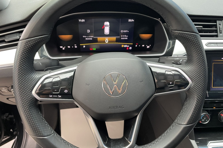 Volkswagen Magotan 2024 immagine di auto #11