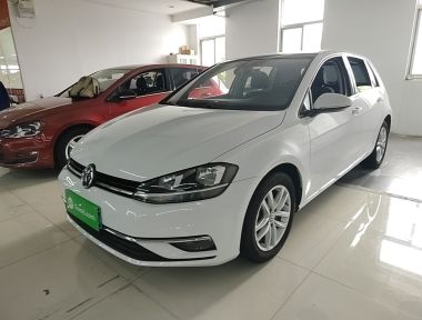 Volkswagen Golf 2019 Volkswagen Golf 2019 car image