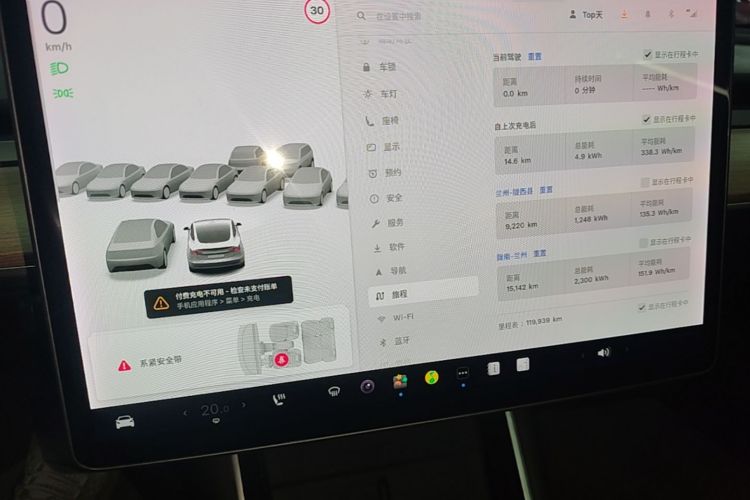 Tesla Model 3 2020 car image #16