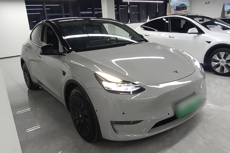 Tesla Model Y 2021 #4 Tesla Model Y 2021 صورة سيارة #4