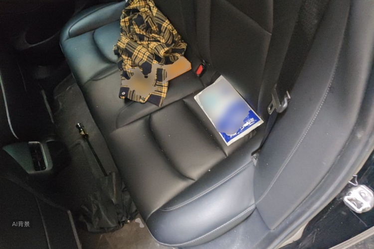 Tesla Model 3 2021 car image #19