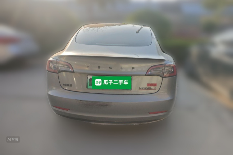 Tesla Model 3 2022 car image #6