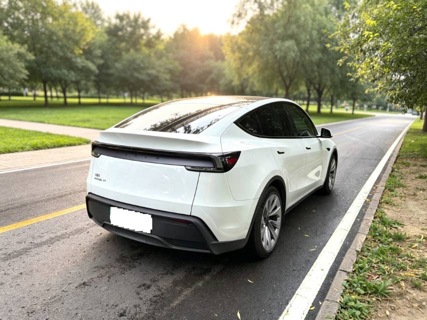 Tesla Model Y 2025 car image #2