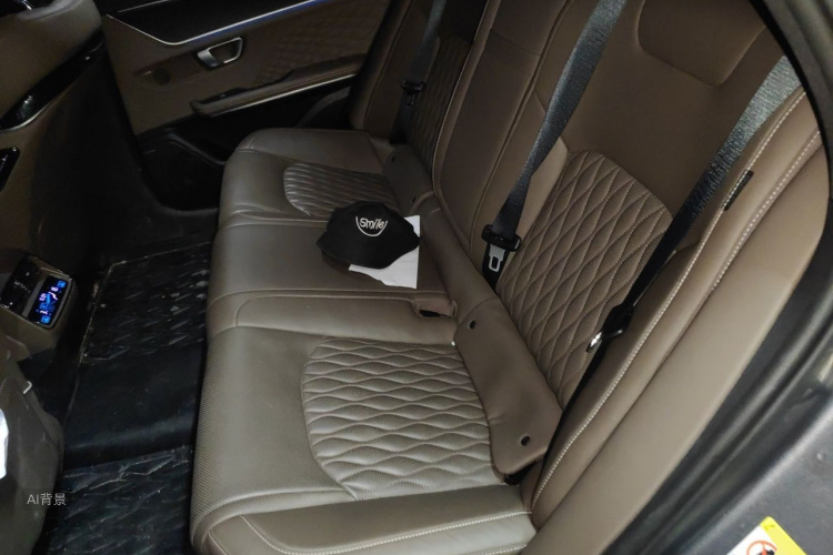 BYD Han 2022 car image #19