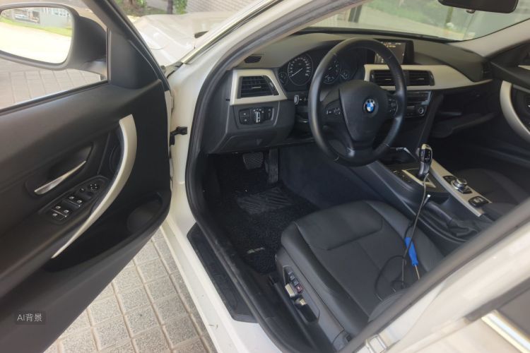 BMW 3 Series 2016 car image #18