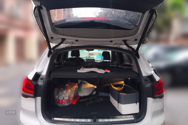 BMW X1 2019 imagem de carro #21