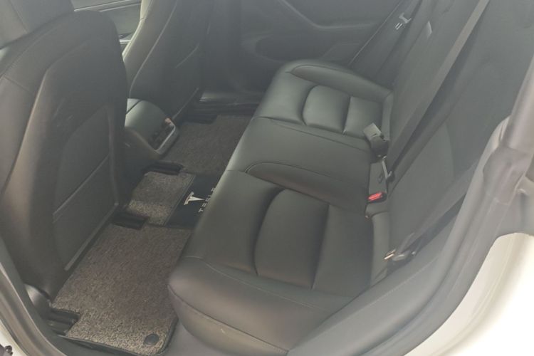 Tesla Model 3 2019 #17 Tesla Model 3 2019 car image #17
