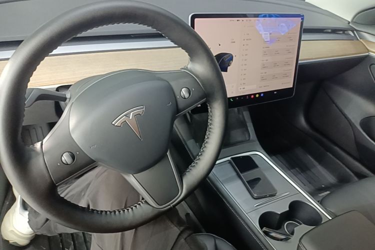 Tesla Model 3 2021 #10 Tesla Model 3 2021 car image #10