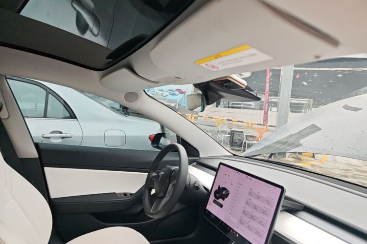 Tesla Model 3 2020 car image #18