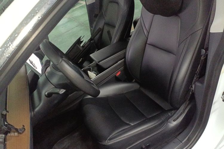 Tesla Model 3 2020 imagem de carro #17