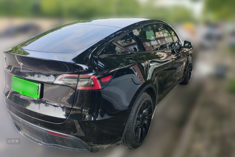 Tesla Model Y 2021 car image #7