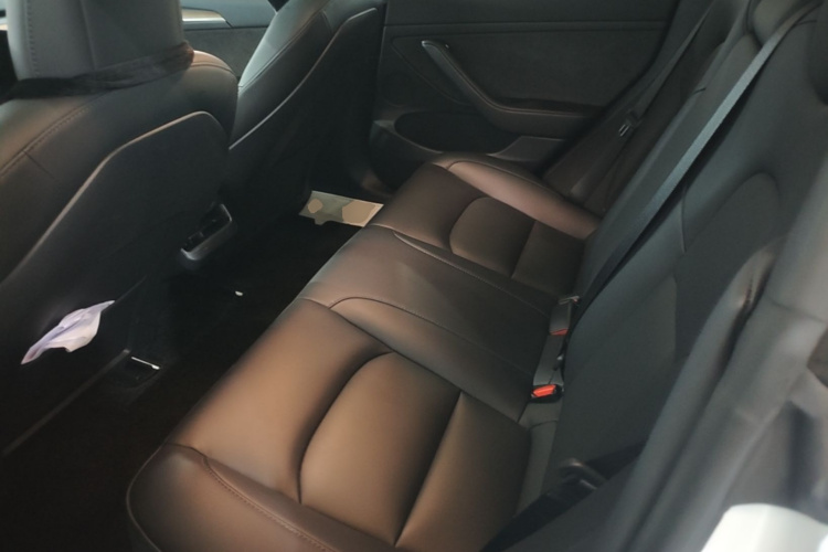 Tesla Model 3 2022 #17 Tesla Model 3 2022 car image #17