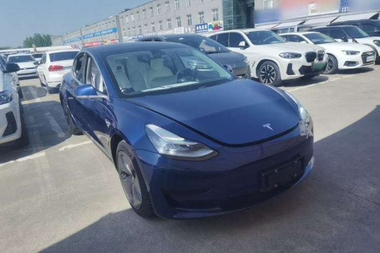 Tesla Model 3 2020 #4 Tesla Model 3 2020 car image #4
