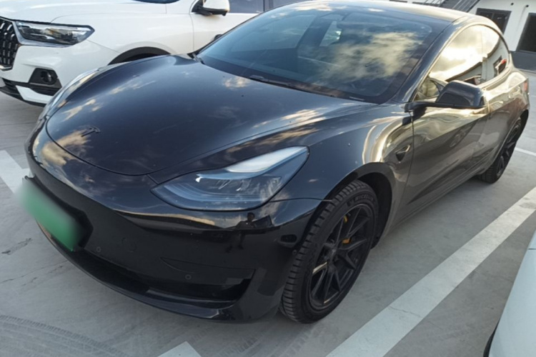 Tesla Model 3 2023 #2 Tesla Model 3 2023 car image #2